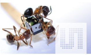 ams' new temperature sensor