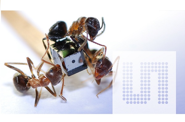 ams' new temperature sensor