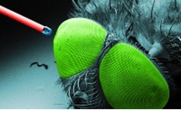 , 3D printing enables the smalles complex micro-objectives