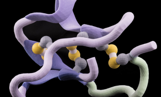 Foldable 3-D, Man-Made Proteins Could Make “Use By” Dates for Medicines Obsolete