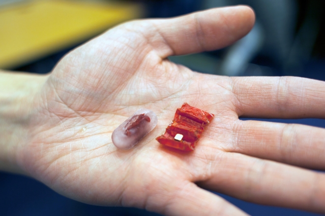 , Ingestible origami robot
