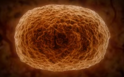 , Perovskite Solar Cells Surpass 20% Efficiency