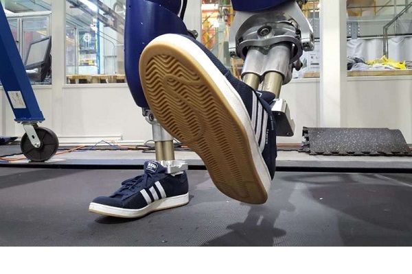 , Robot earns its shoes, walks like a person