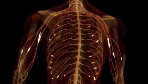 , GSK and Verily to establish Galvani Bioelectronics – a new company dedicated to the development of bioelectronic medicines