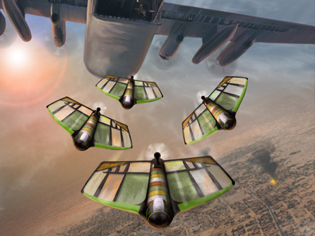 , Pouncer Food Aid By Air