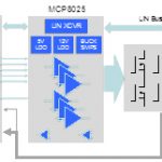 , Sweat-proof “smart skin” takes reliable vitals, even during workouts and spicy meals