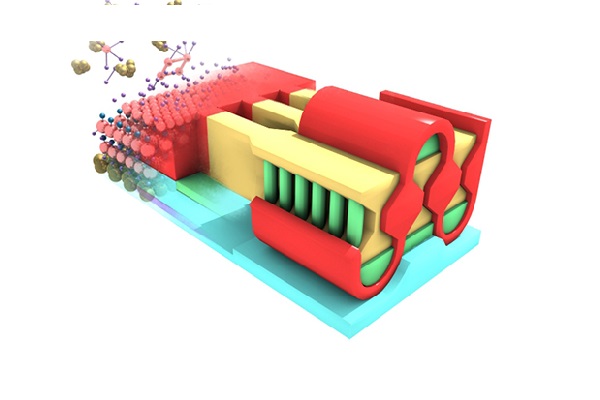 , Bushwhacking into Unexplored Transistor Territories