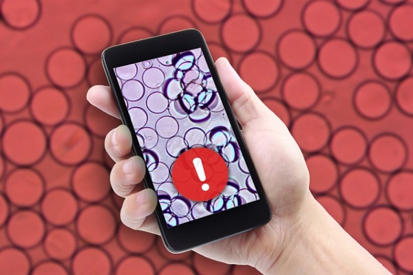 , New technology could offer cheaper, faster food testing