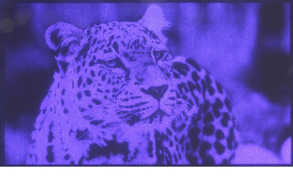 , Leti Will Demo World’s-first WVGA 10-µm Pitch GaN Microdisplays for Augmented Reality Video at Display Week in Los Angles