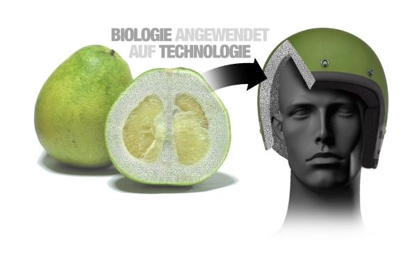 , Inspired by nature: New body protection for BMW employees
