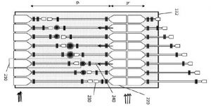 , SMART HEALTH – DIAGNOSTICS Photonics-on-chip allows doctors to dream of ultra-small spectrometers, cytometers and microscopes
