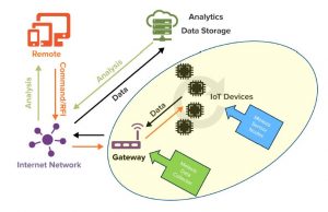 , Sweat-proof “smart skin” takes reliable vitals, even during workouts and spicy meals
