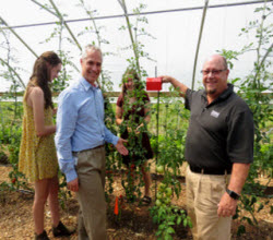 , Analog Devices’ Monitoring Initiative Aims to Improve Crop Quality and Yields and Boost Profitability of Local Farmers