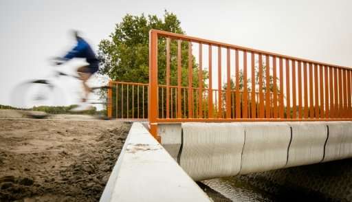 , Dutch open &#8216;world&#8217;s first 3D-printed bridge&#8217;