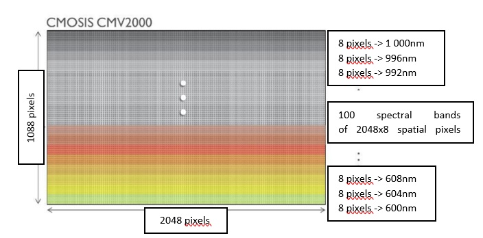 , Sweat-proof “smart skin” takes reliable vitals, even during workouts and spicy meals