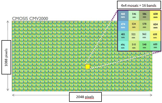 , Sweat-proof “smart skin” takes reliable vitals, even during workouts and spicy meals