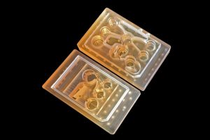 , “Body on a chip” could improve drug evaluation