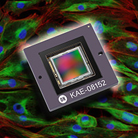 , ON Semiconductor Expands Imaging Options for Extreme Low-Light Imaging
