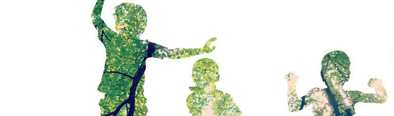 , Carbon handprint: New environmental indicator for evaluating the positive climate impacts of products