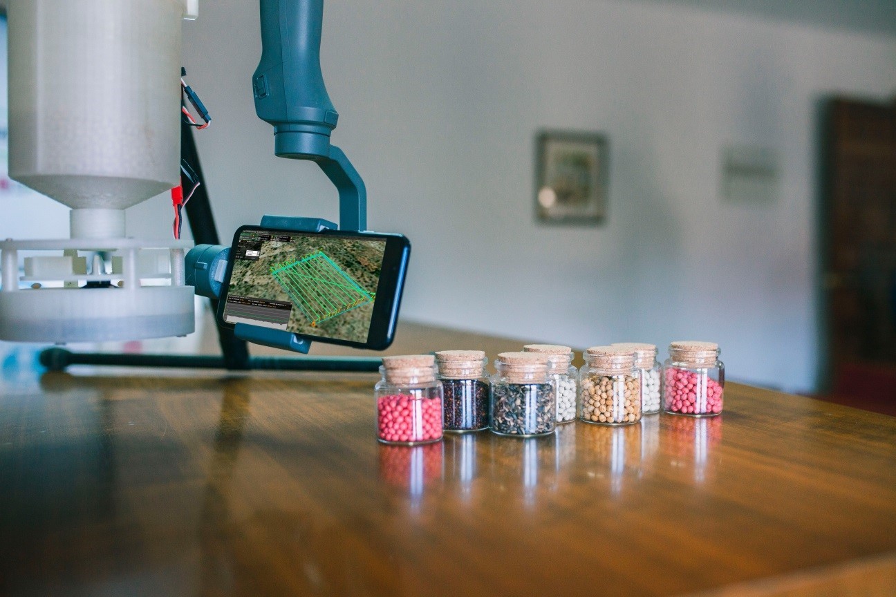 , FROM A SEED TO A TREE: LG HELPS REFOREST A NATIONAL PARK IN SPAIN