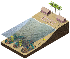 , CCell Renewables and Vicor collaborate to power new coral reef growth