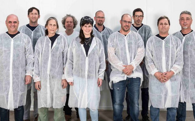 , RCK signs multi-million-dollar deal with Holland’s SeedTech to provide genetics breeding services for hybrid cannabis seeds