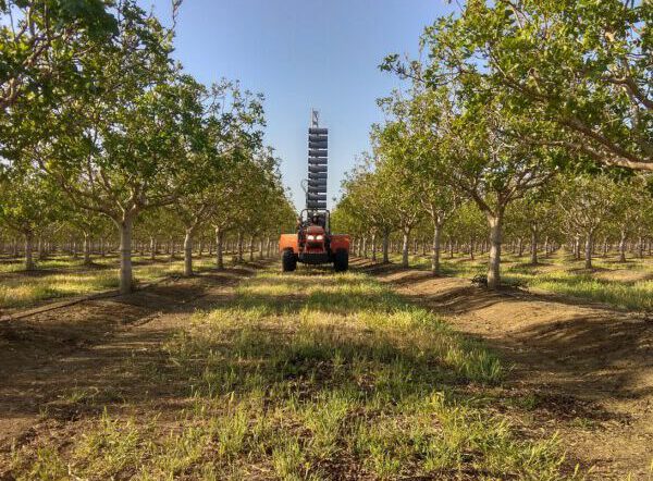 , Israeli agtech startup Edete expands its artificial pollination services to wind-pollinated crops