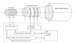, Magnetic Resonance Imaging RF Coils Systems Testing and Measurement