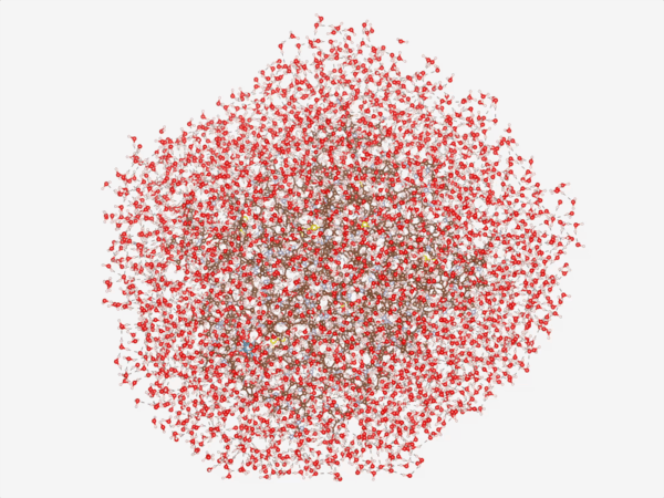 , Cleveland Clinic, RIKEN, and IBM Model a 12,635-Atom Protein &ndash; the Largest Known to Be Simulated with Quantum Computers