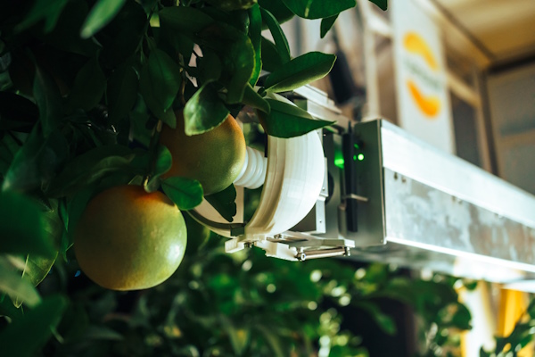 , Nanovel Awarded &euro;2.5M EIC Grant to Commercialize AI-Powered Citrus Harvesting Robots